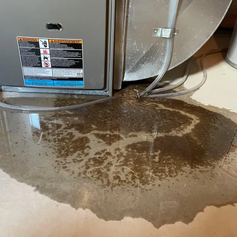 Appliance Leak Cleanup in Strasburg, OH